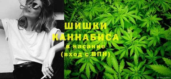 PSILOCYBIN Алзамай