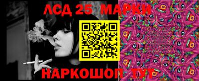 мяу мяу мука Гатчина