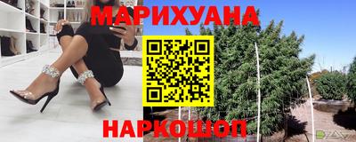 мяу мяу мука Гатчина