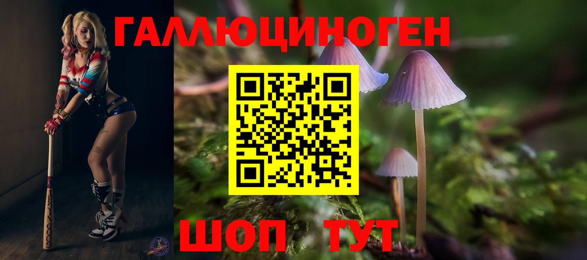 Псилоцибиновые грибы Cubensis  Вход с VPN  Родники  Галлюциногенные грибы прущие грибы 